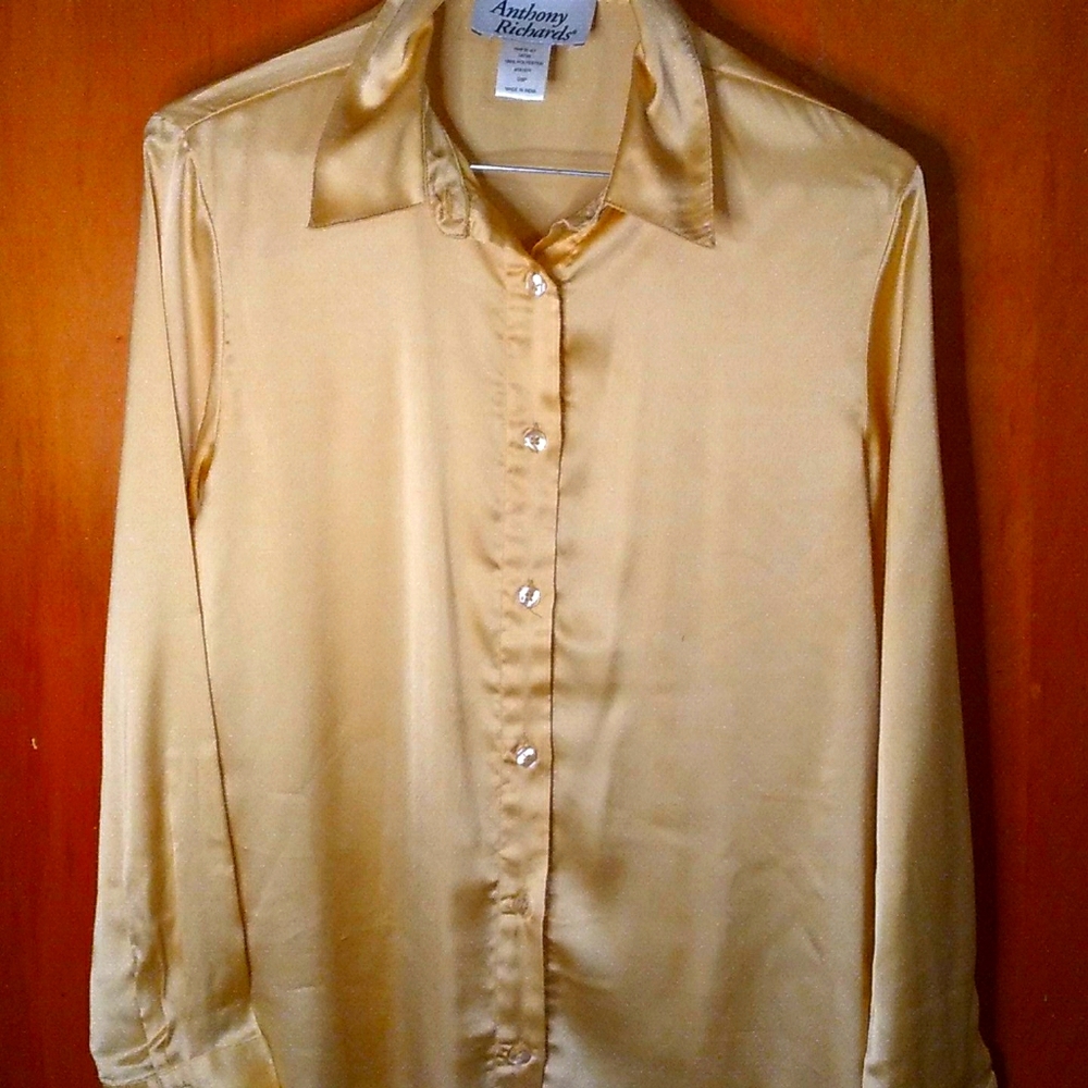 Vintage anthony richards blouse